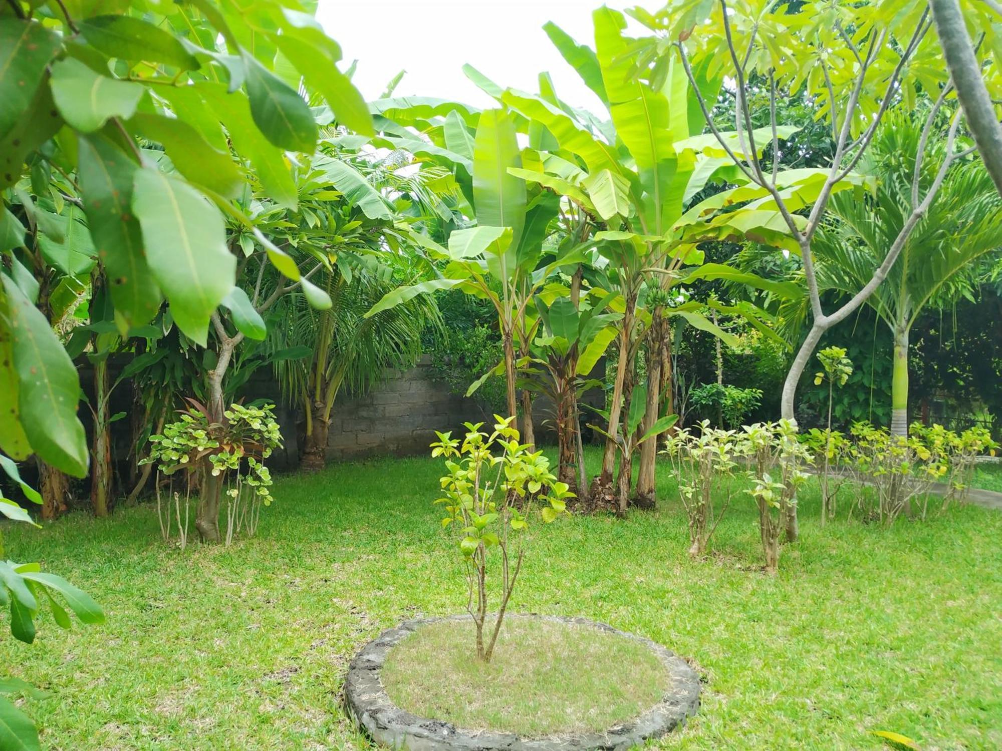 Asih Homestay Pemuteran  Ngoại thất bức ảnh