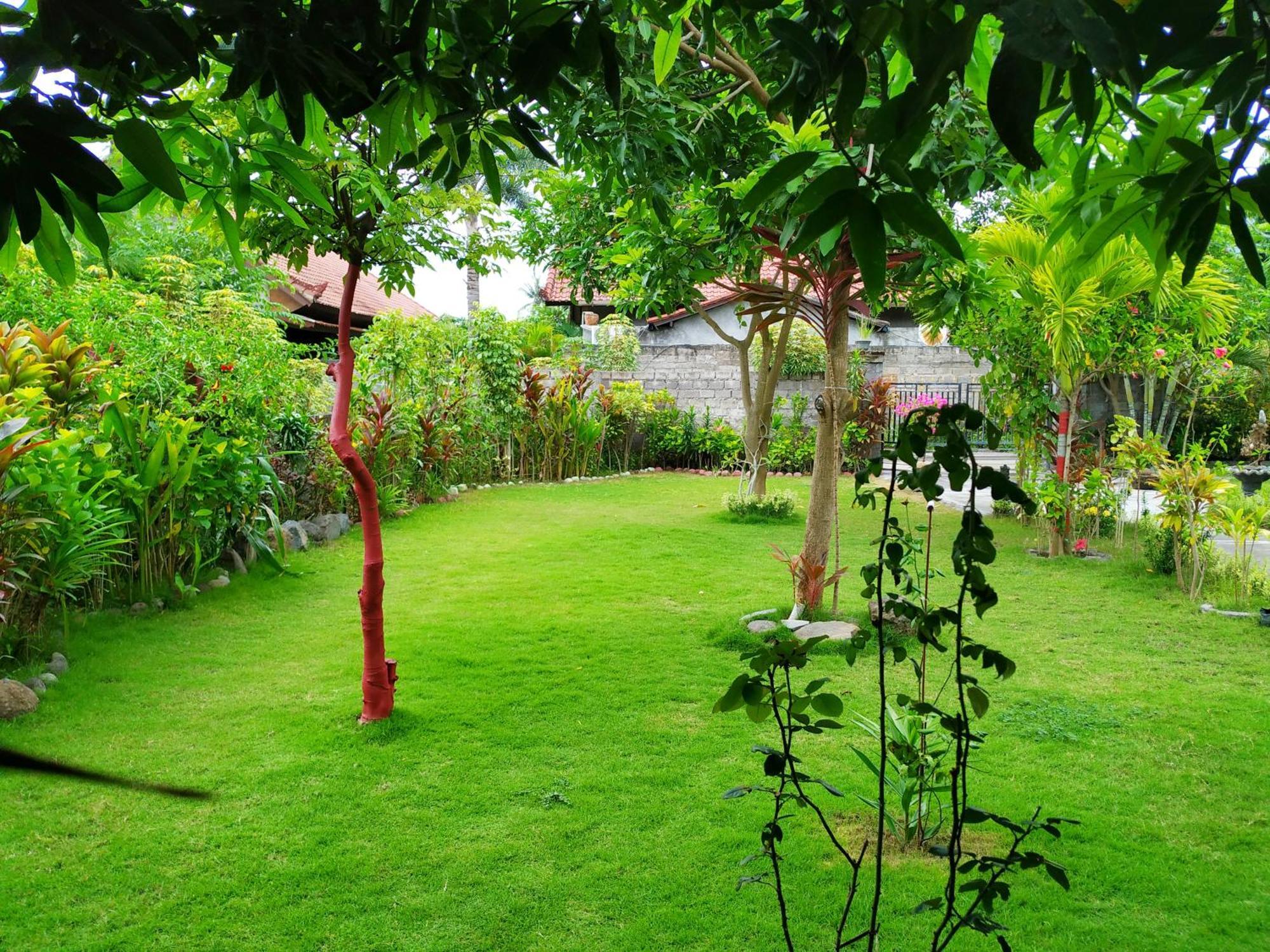 Asih Homestay Pemuteran  Ngoại thất bức ảnh