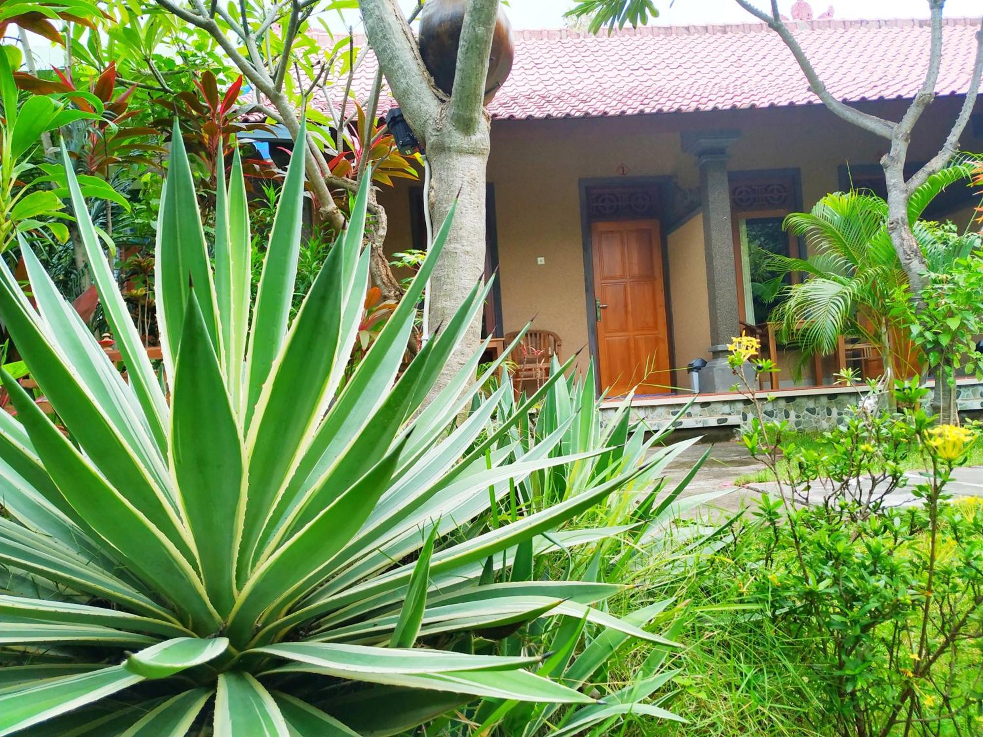 Asih Homestay Pemuteran  Ngoại thất bức ảnh