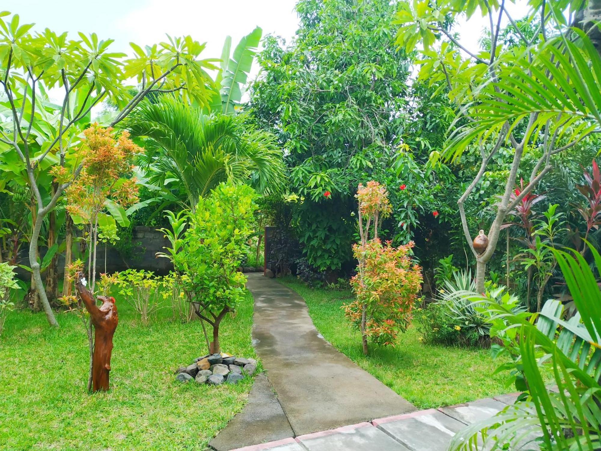 Asih Homestay Pemuteran  Ngoại thất bức ảnh